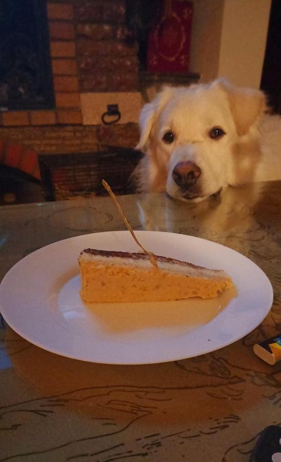 Domacinstvo Bakic Vendégház Ürög Kültér fotó